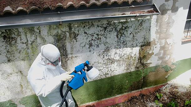 Top rated local Crawl Space Mold Remediation specialists in Somerset, MD